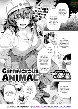 HentaiManhwa.Net - Đọc Carnivorous Animal Online