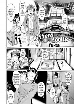 HentaiManhwa.Net - Đọc Kittens Are So Docile Online